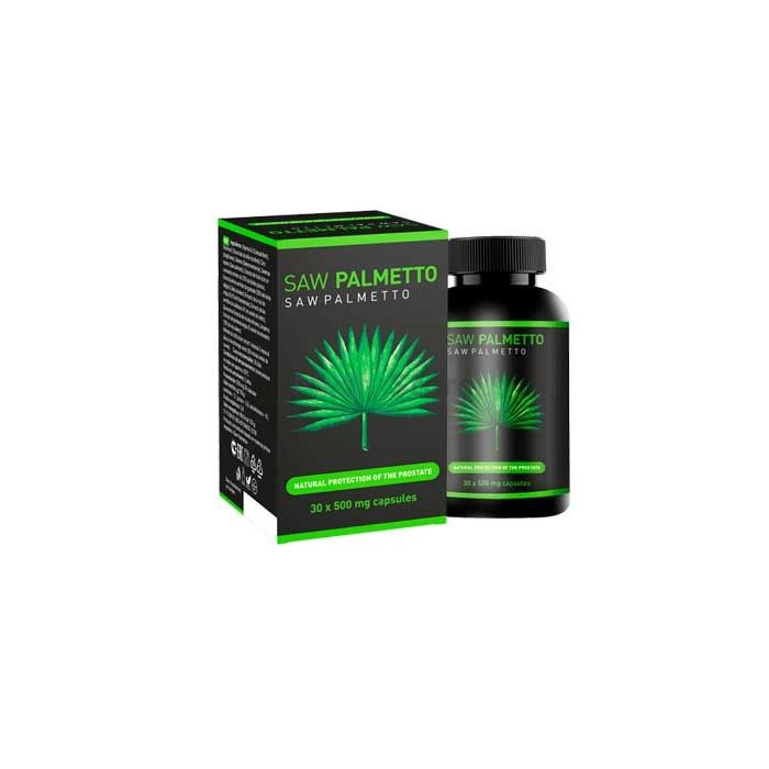 〚 Saw Palmetto 〛 - 〚 capsules pour la prostatite 〛