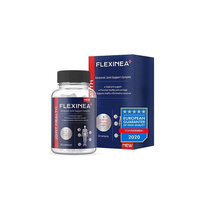 〚 Flexinea 〛 - 〚 capsules articulaires 〛