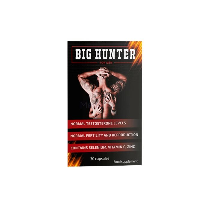 〚 Big Hunter 〛 - 〚 capsules pour la prostatite 〛