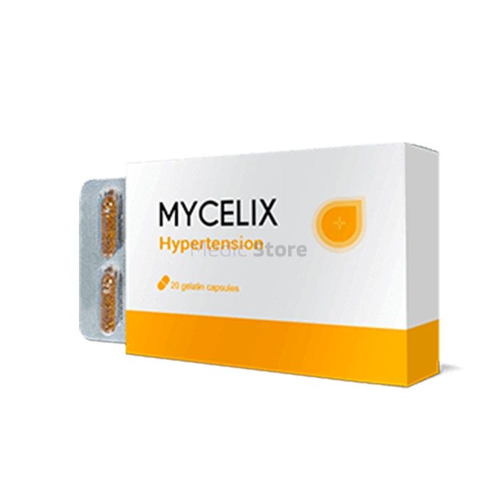 〚 Mycelix 〛 - 〚 remedy for hypertension 〛